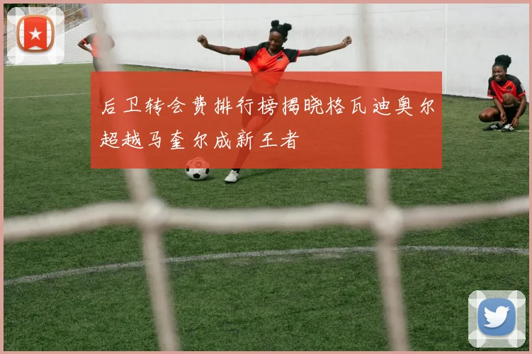 后卫转会费排行榜揭晓格瓦迪奥尔超越马奎尔成新王者